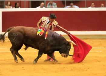 Diego Urdiales firma una tarde de torería en Logroño y corta dos orejas; Roca Rey pasea una