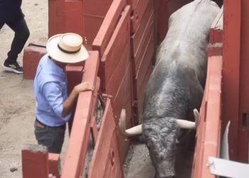 Victorino Martín ya está en Lima para su cita con la Feria del Señor de los Milagros